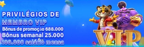 8633win